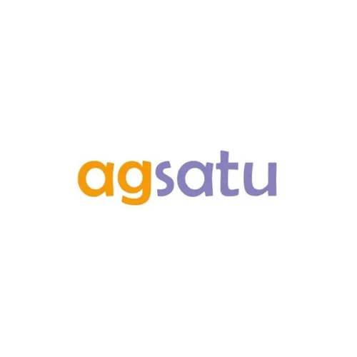 Intern Web Developer at CV Agsatu